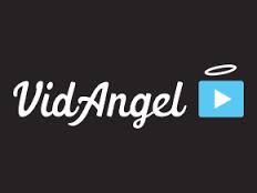 vidangel