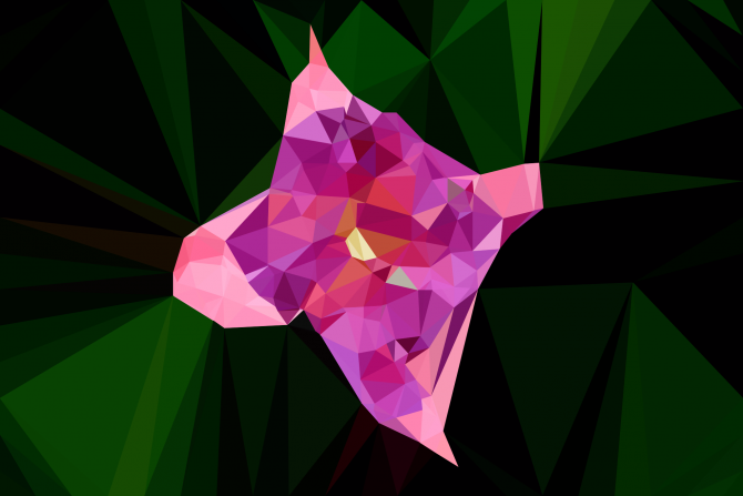 triangulated-image