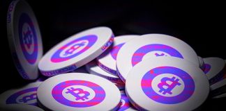 Trident Crypto Fund Data Leak