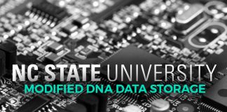 Modified DNA Data Storage