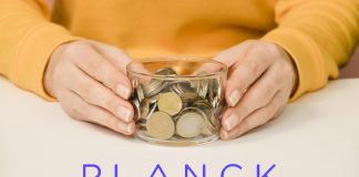 Insurance Data Analytics Firm Planck