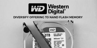 Western Digital Diversify NAND Flash Memory