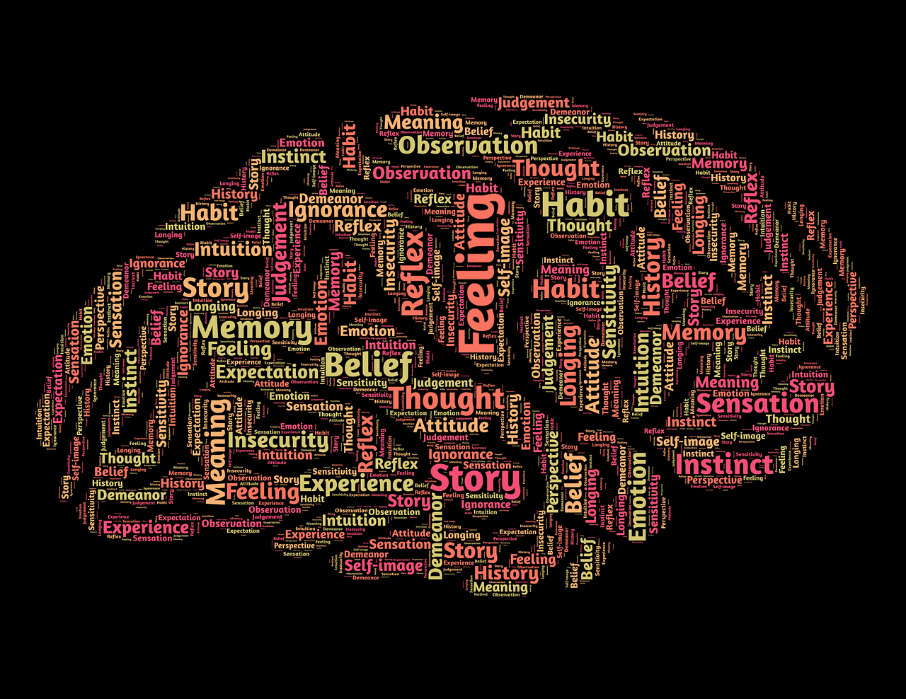 The Brain Is an Extraordinary Organ - Learn More About It