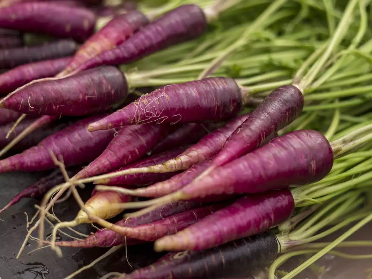 10 Rarest Things in the World