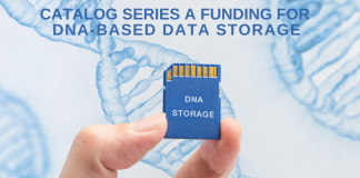 Catalog DNA-Based Data Storage