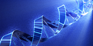 Microsoft Gears for Data Storage