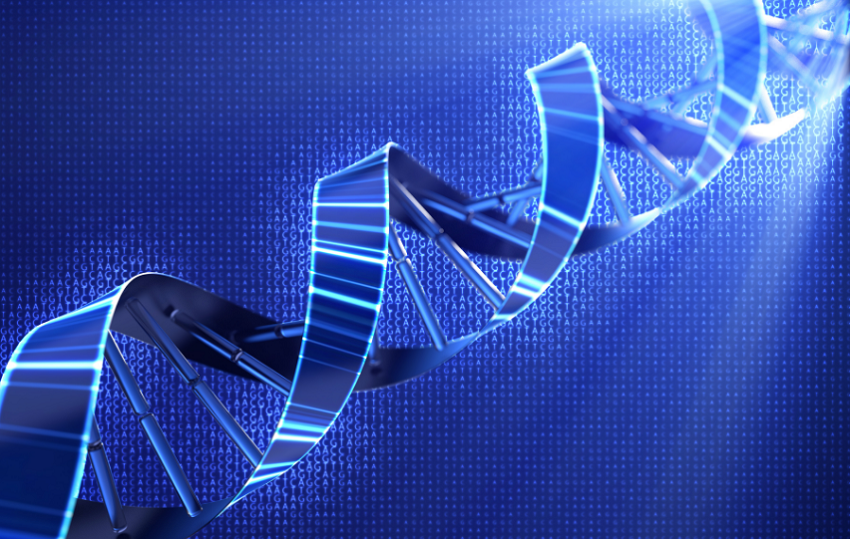 Microsoft Gears for Data Storage