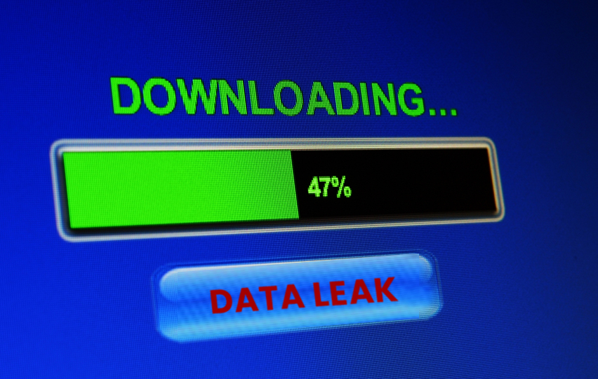  DDoSecrets Leaks Victims’ Data