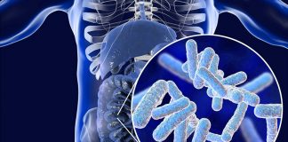 Artificial Intelligence And Feces To Track Intestinal Bacteria