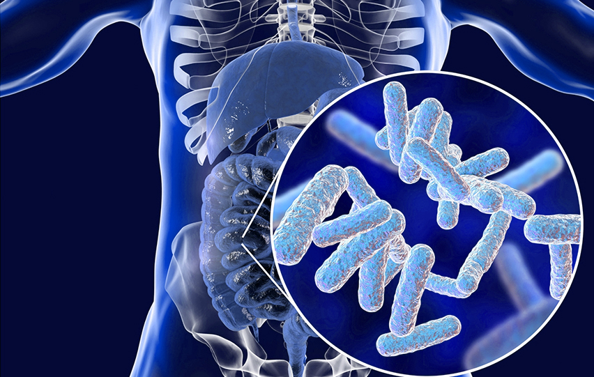 Artificial Intelligence And Feces To Track Intestinal Bacteria