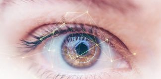 VR-Assisted Prosthetic Retina