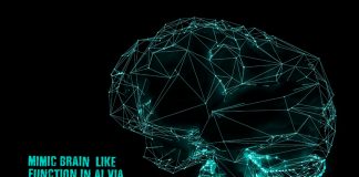 Mimic Brain-Like Function in AI via Edge of Chaos